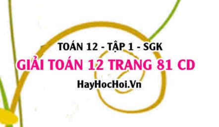 Giải Toán 12 trang 81 tập 1 Cánh Diều